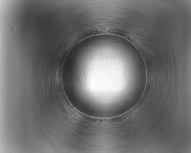 X0000068731106200605121511