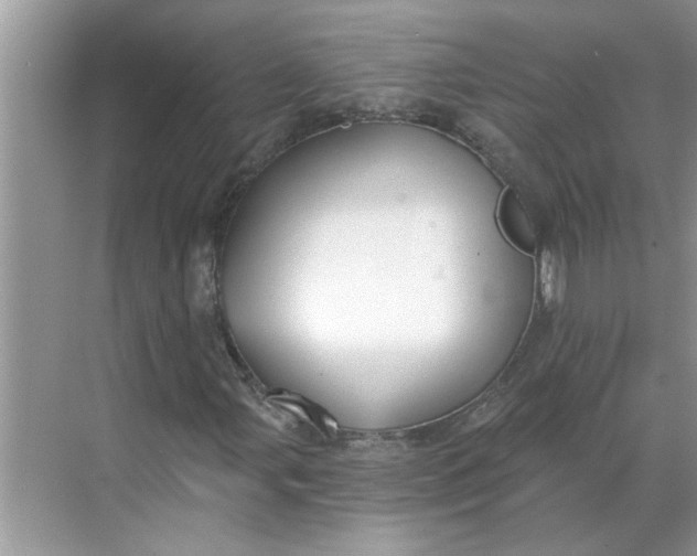 X0000068731107200605121511