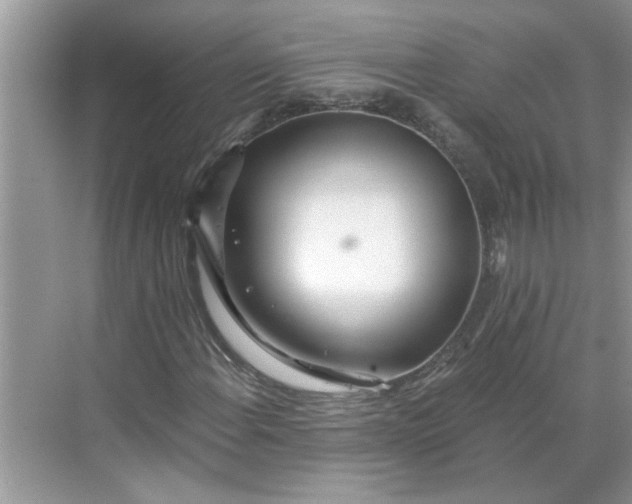 X0000068731108200605121511