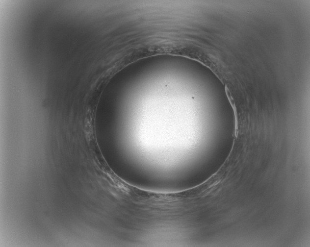 X0000068731109200605121511