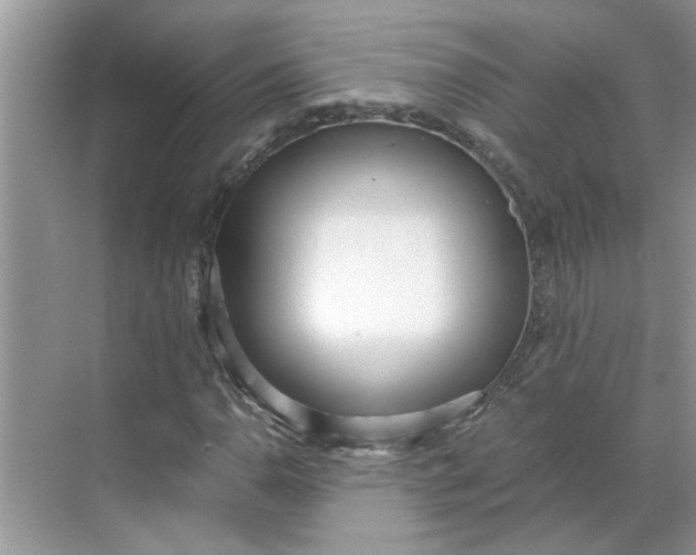 X0000068731110200605121511