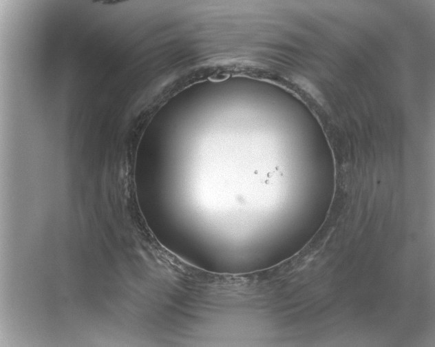 X0000068731111200605121511