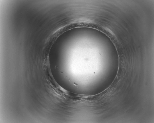 X0000068731112200605121511