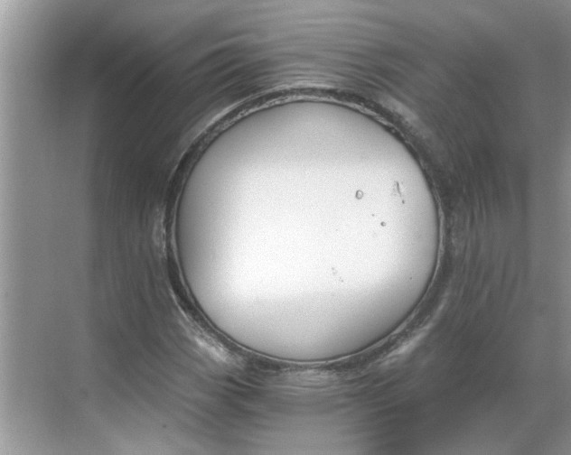 X0000068731113200605121511