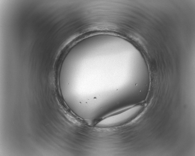 X0000068731114200605121511