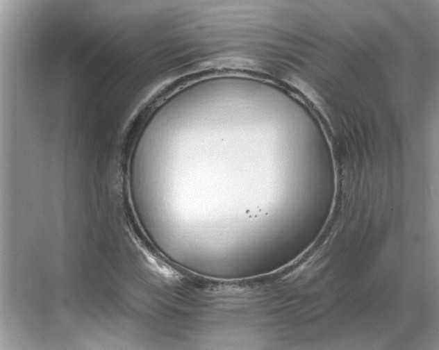 X0000068731115200605121511