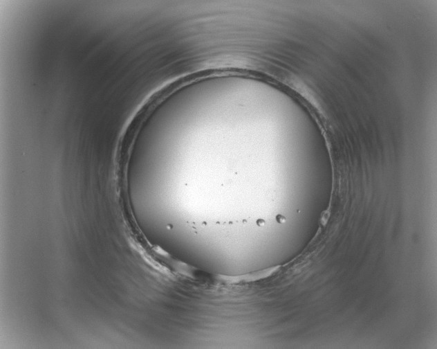 X0000068731116200605121511