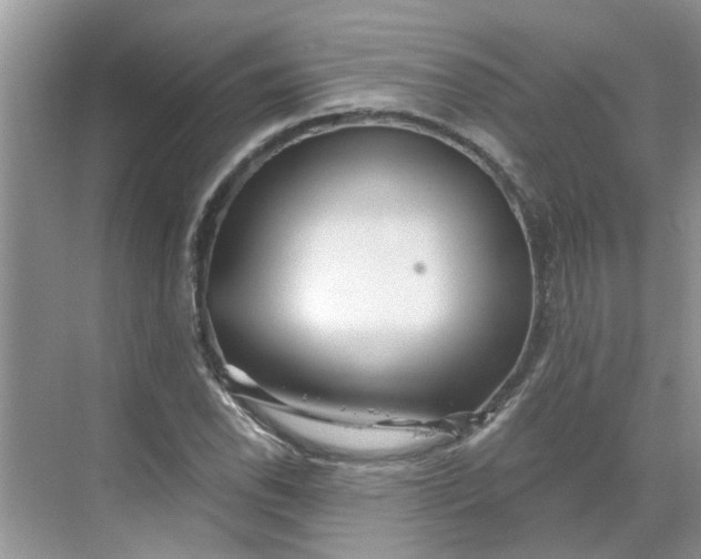 X0000068731118200605121511