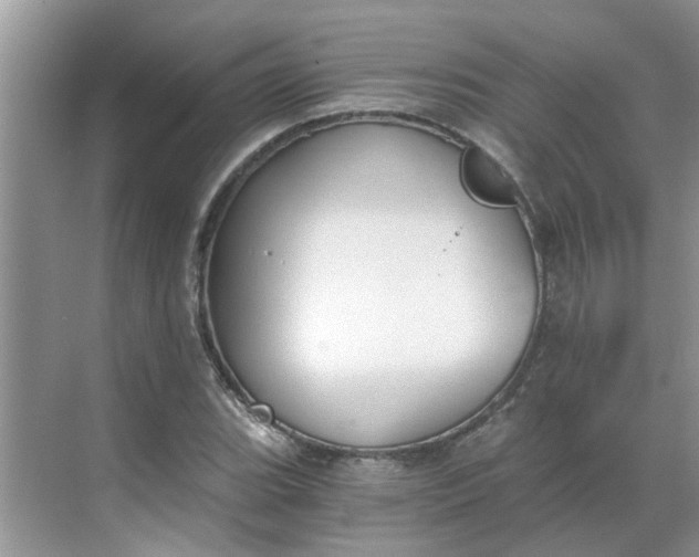 X0000068731119200605121511