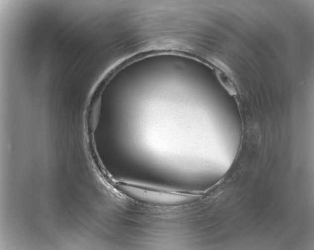 X0000068731120200605121511