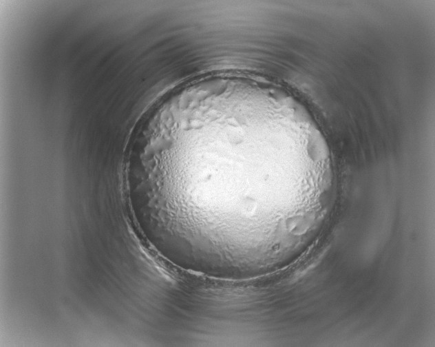 X0000068731121200605121511