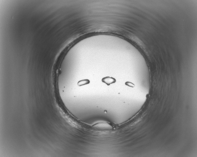 X0000068731122200605121511