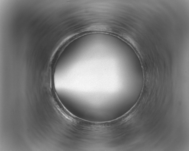 X0000068731123200605121511