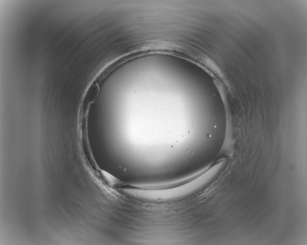 X0000068731124200605121511