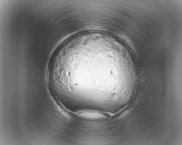 X0000068731125200605121511