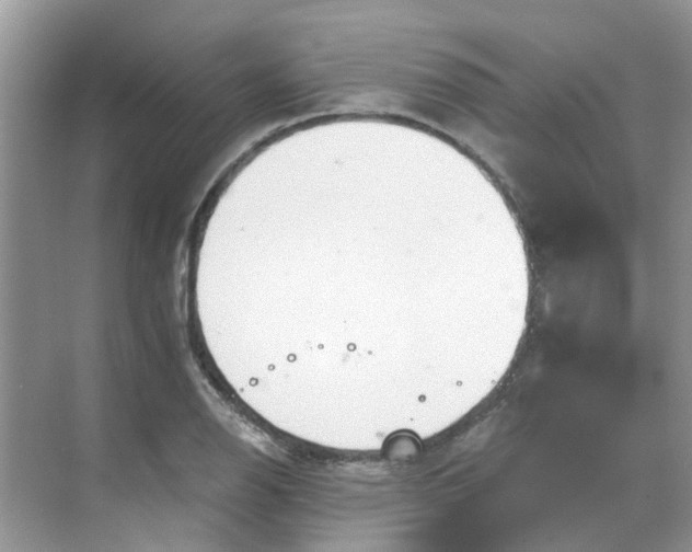 X0000068731126200605121511