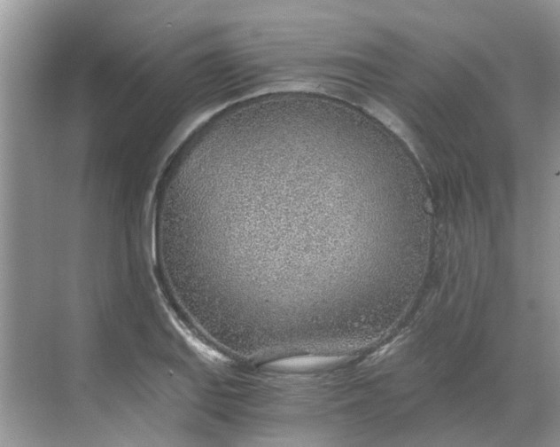 X0000068731127200605121511