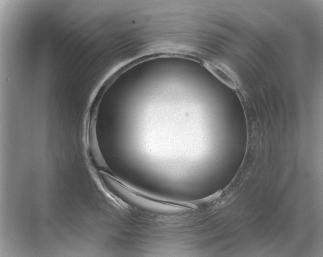 X0000068731128200605121511