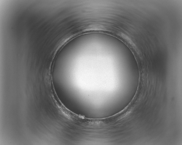 X0000068731129200605121511