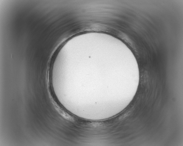 X0000068731130200605121511