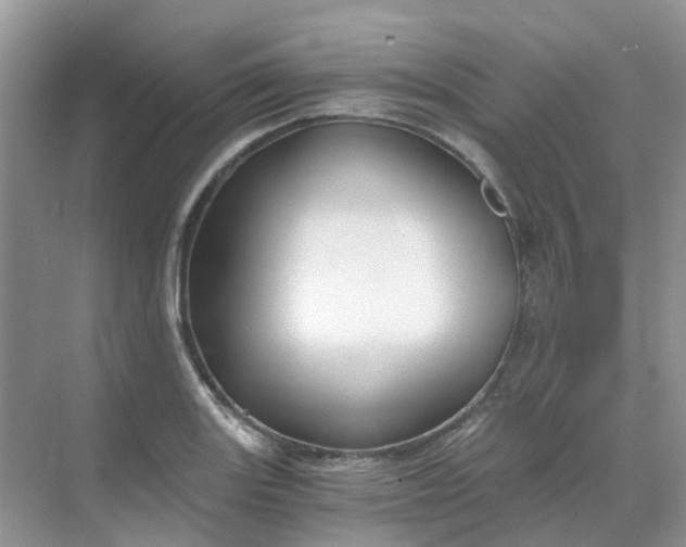 X0000068731131200605121511