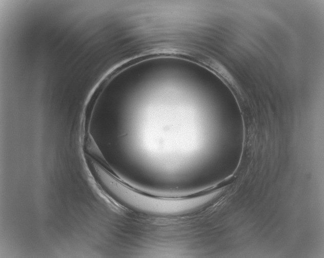 X0000068731132200605121511