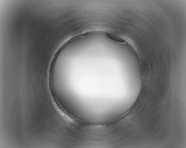 X0000068731135200605121511