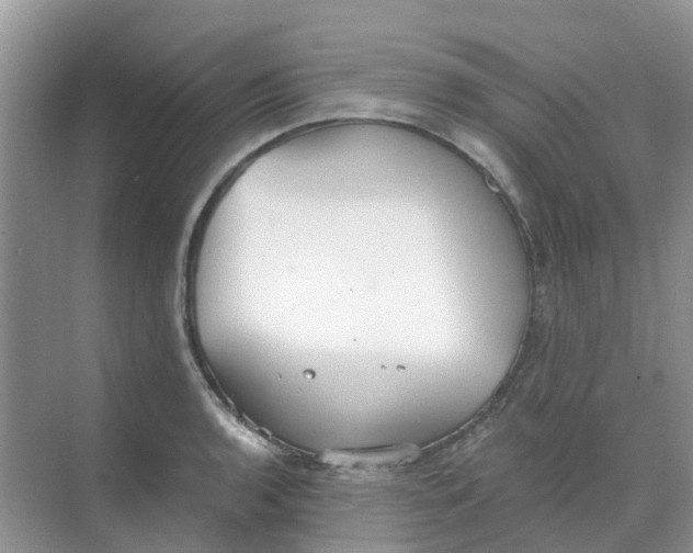 X0000068731136200605121511