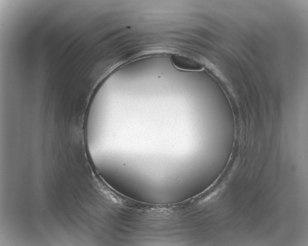 X0000068731137200605121511