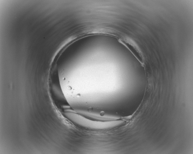 X0000068731138200605121511