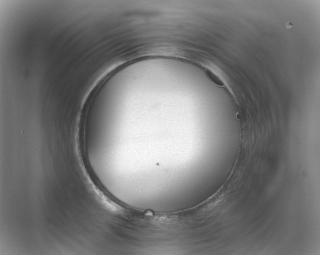 X0000068731139200605121511