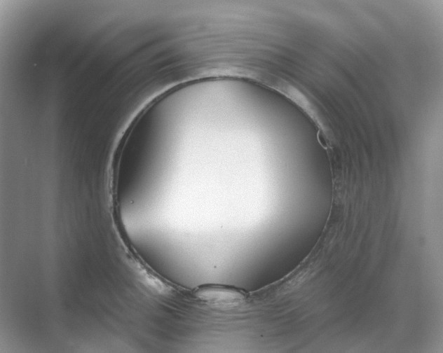 X0000068731140200605121511