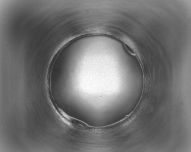 X0000068731141200605121511