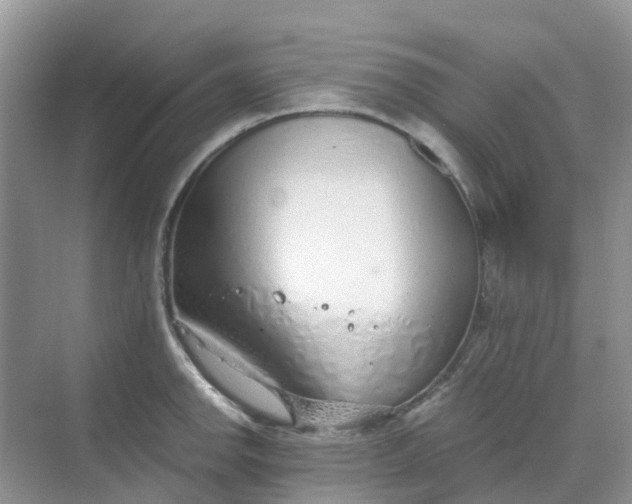 X0000068731142200605121511