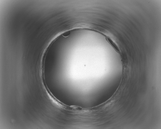 X0000068731143200605121511