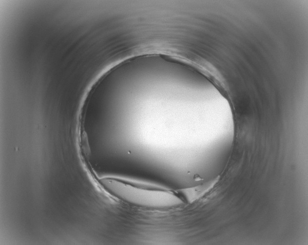 X0000068731144200605121511