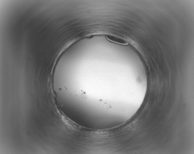 X0000068731145200605121511