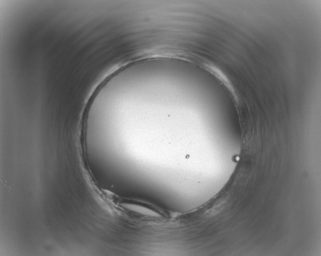 X0000068731146200605121511