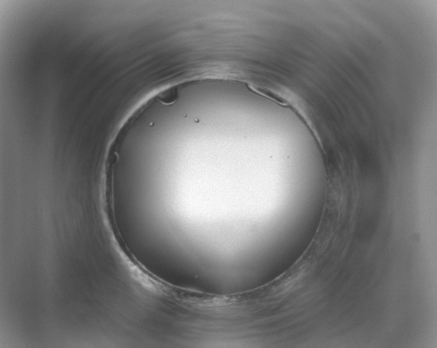 X0000068731147200605121511