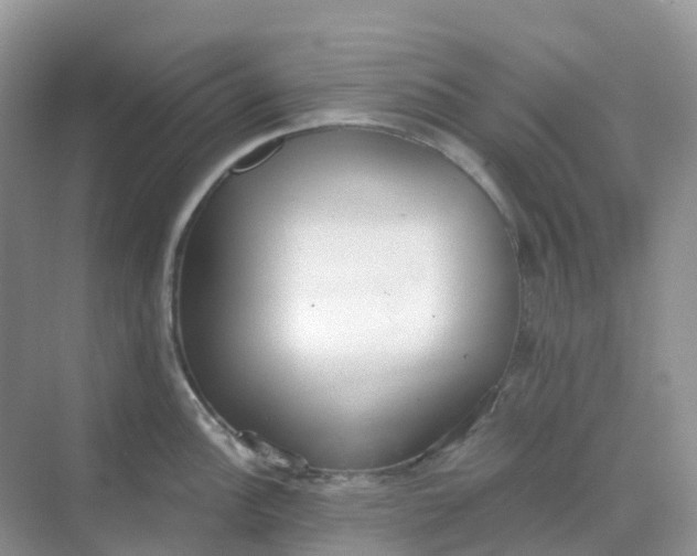 X0000068731148200605121511