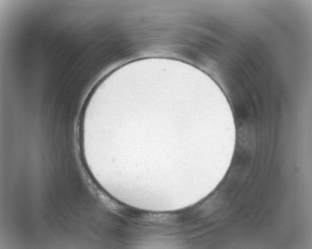 X0000068731150200605121511