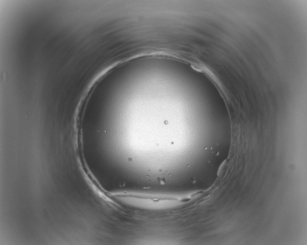 X0000068731151200605121511