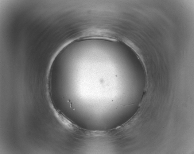 X0000068731152200605121511