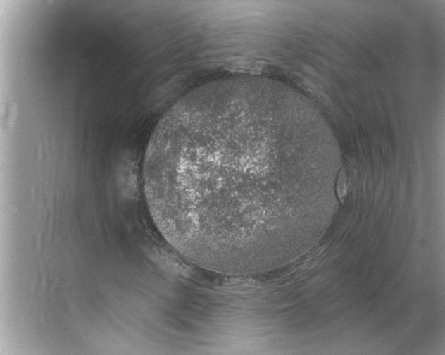 X0000068731154200605121510