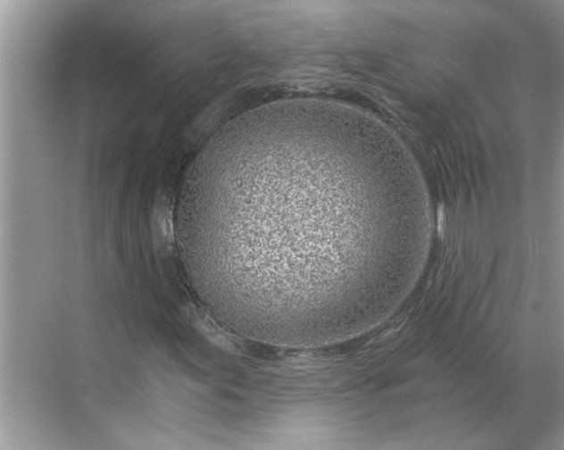 X0000068731155200605121510