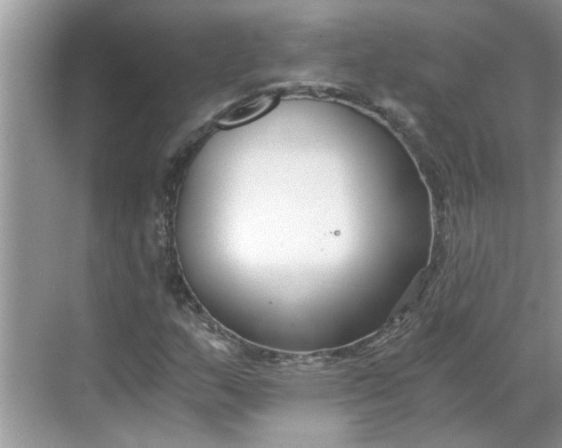 X0000068731159200605121510