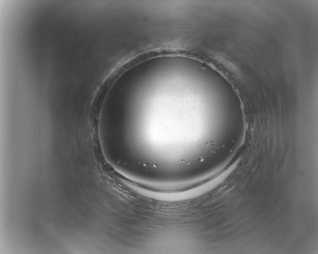 X0000068731160200605121510