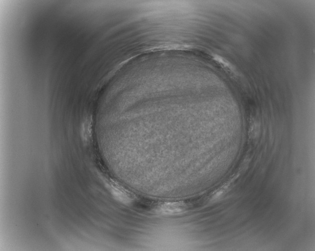 X0000068731161200605121510