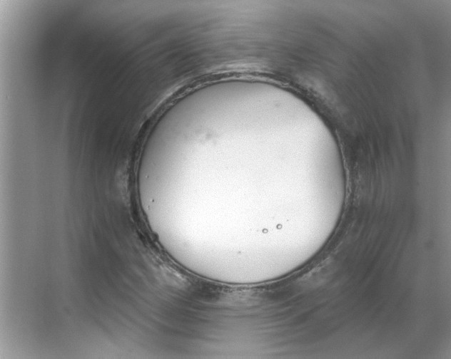 X0000068731162200605121510