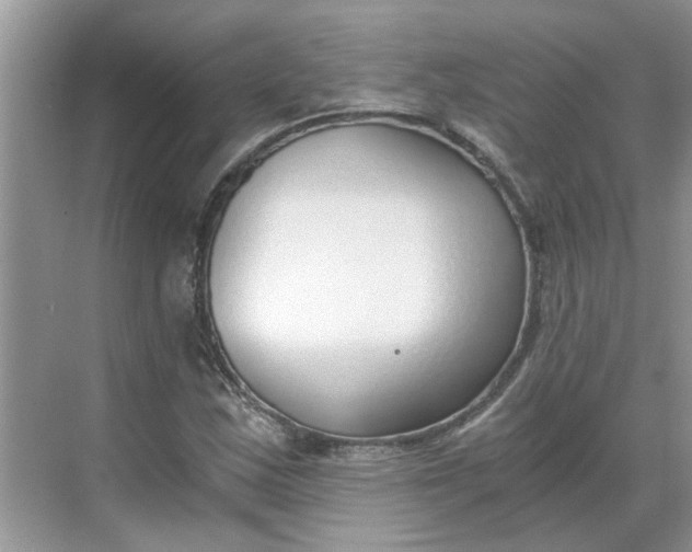 X0000068731163200605121510